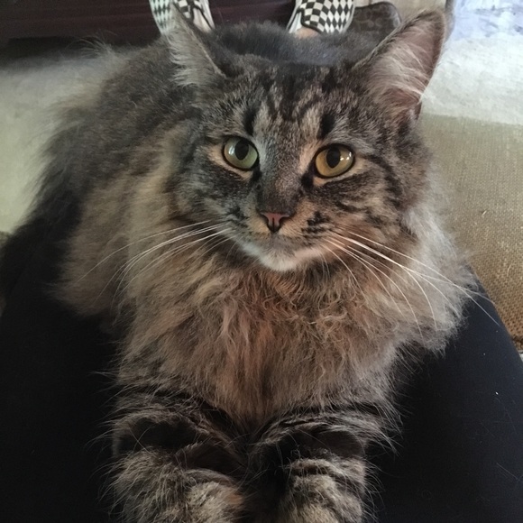 Meet your Posher, Marileigh - Picture 1 of 1